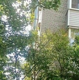 Продажа 1-комн квартиры на вторичном рынке Пушкин, Железнодорожная улица, 76