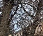 Продать Квартиры вторичка Центральный мкр, улица Октябрьская  6 