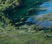 Продать Земельные участки, земля Лазурь кв-л, д. Каргалозы   