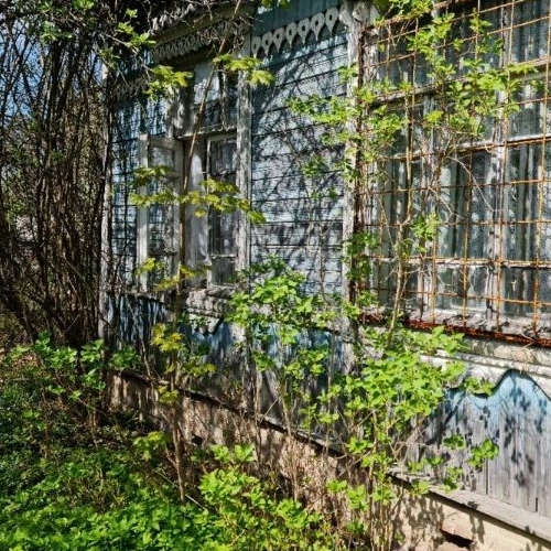 Коттедж/дом Вырица городской поселок