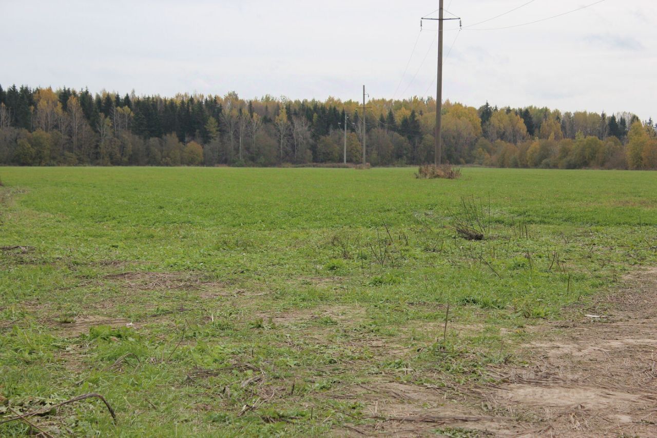 Продажа земли Весна кп, д. Пустынка,  д. 199