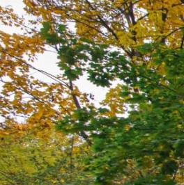 Продажа 1-комн квартиры на вторичном рынке Варшавская улица, 69 Продажа 1-комн квартиры на вторичном рынке Варшавская улица, 69