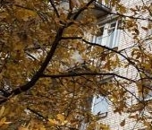 Продать Квартиры вторичка Торжковская улица, 11   