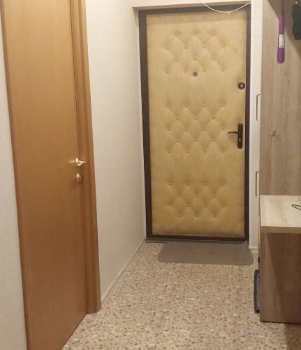 1-комн квартира Шуваловский проспект, 37к1