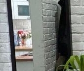 Продать Квартиры вторичка Малая Истра ЖК, д. Высоково  6 