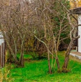 Продажа дома Высоцк, Мачтовая улица, 9 Продажа дома Высоцк, Мачтовая улица, 9