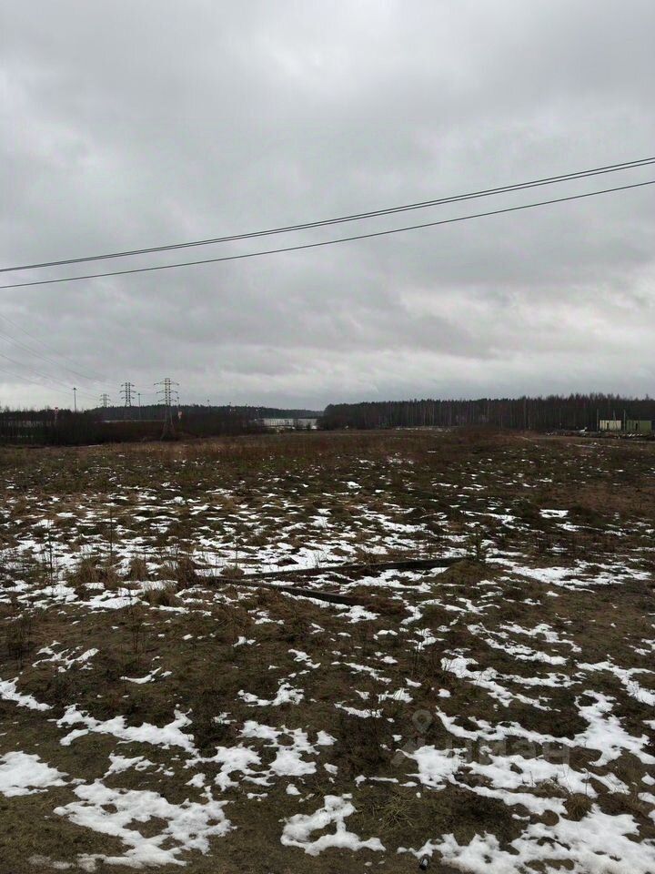 Продажа земли д. Большое Коновалово, улица Центральная