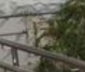 Продать Квартиры вторичка улица Ухтомского Ополчения, 8   