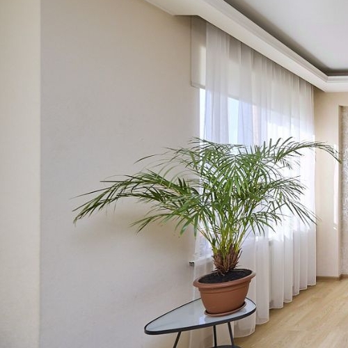 2-комн квартира Рябиновая улица, 16