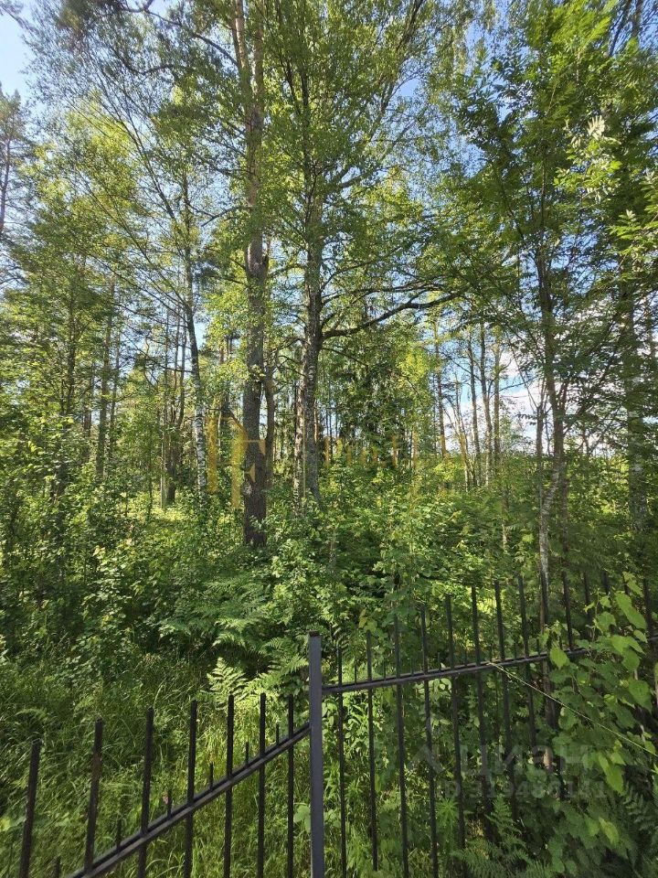 Продажа земли Перелесье кп, 35