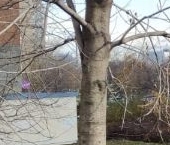 Сдать в аренду Квартиры вторичка Озерная улица, 4к1   