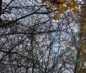 Продать Квартиры вторичка Рублевское шоссе, 14К1   