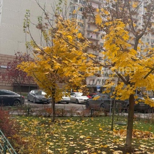 2-комн квартира Видное, улица Имени Героя Советского Союза Виктора Никитовича Фокина, 8