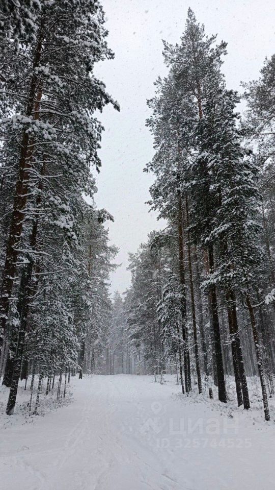 Продажа земли д. Ягодное, улица Полевая, 11