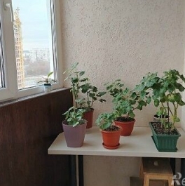 Продажа 2-комн квартиры на вторичном рынке Жуковский г, Гудкова ул,  д. 16
