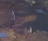 Сдать в аренду Квартиры вторичка проспект Луначарского, 11к1   