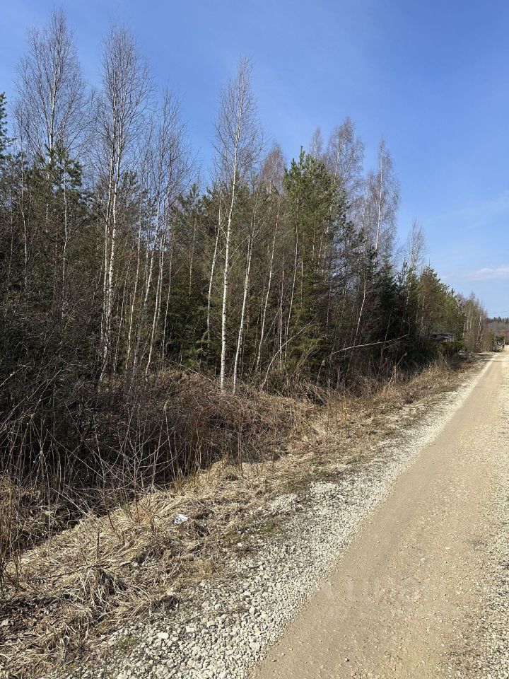 Продажа земли Михайловское СНТ, аллея Лебяжья