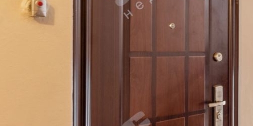 2-комн квартира Пушкин, Оранжерейная улица, 67/31