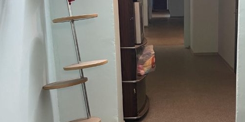 Комната проспект Косыгина, 25к1