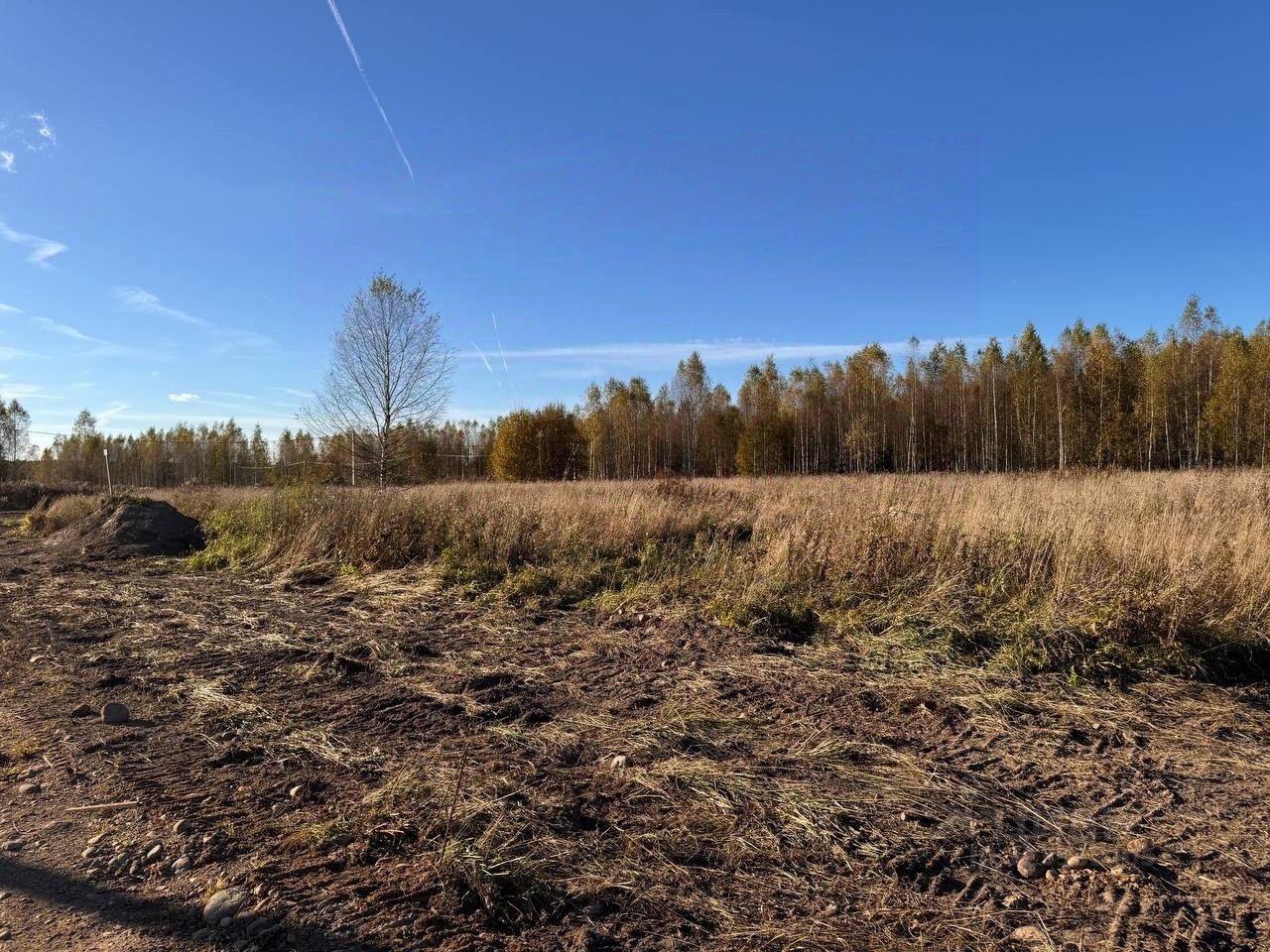 Продажа земли д. Турышкино, улица Новая