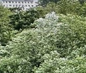 Продать Квартиры вторичка Студенческая улица, 14к2   