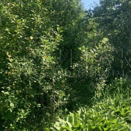 Коттедж/дом Дружное-3 СНТ,  д. 559