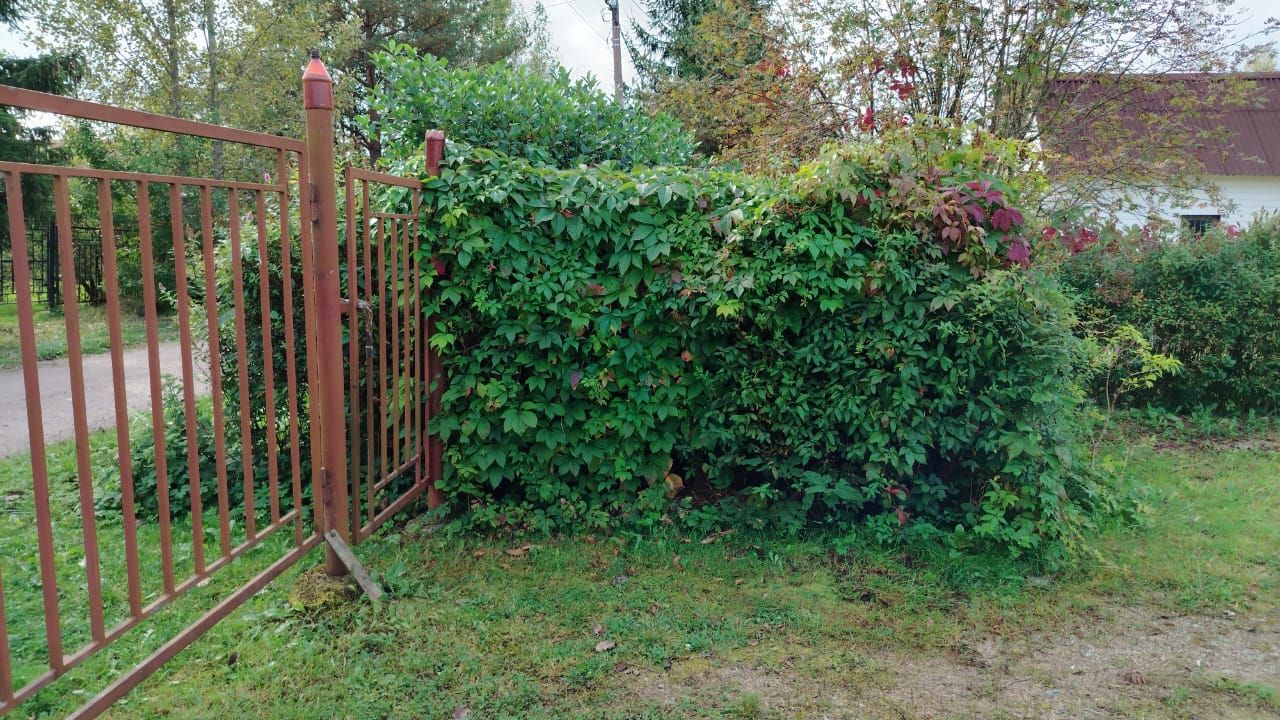 Продажа дома Фауна СНТ, 5-я Лесная линия