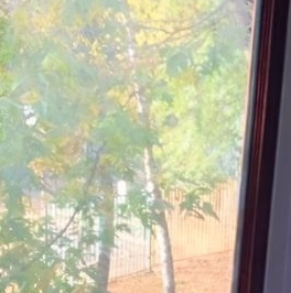 Аренда 2-комн квартиры на вторичном рынке Ясеневая улица, 10К2 Аренда 2-комн квартиры на вторичном рынке Ясеневая улица, 10К2