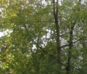 Продать Квартиры вторичка Дедовск г., улица Космонавта Комарова, 2   