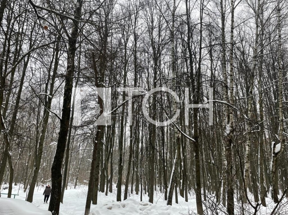 Продажа 1-комн квартиры на вторичном рынке Королев, Толстого ул, 6