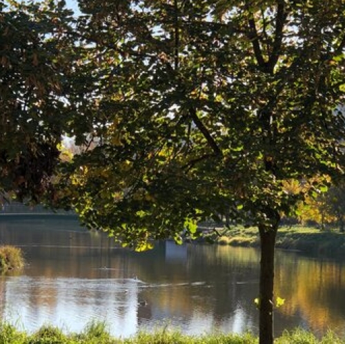 2-комн квартира улица Лёни Голикова