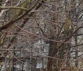 Продать Квартиры вторичка Наличная улица, 36К3   