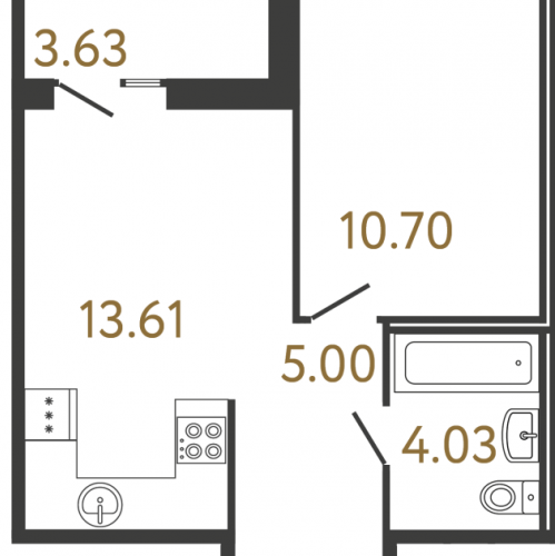 1-комн квартира Парашютная ул,  к. 4