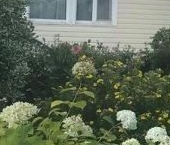 Продать Дачи, коттеджи, загородные дома Павловск, Павловское-1 СНТ   