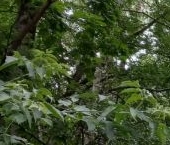 Продать Квартиры вторичка Сахалинская улица, 11   