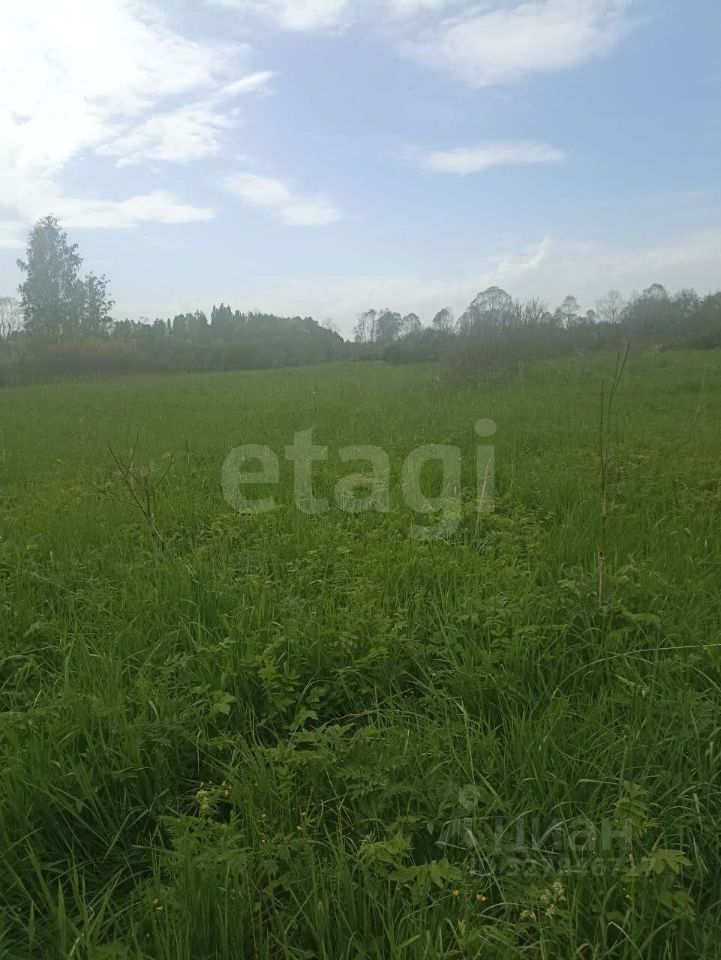 Продажа земли д. Пески, 24