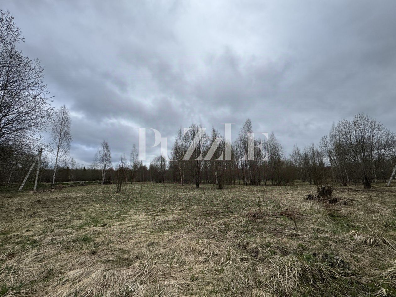 Продажа земли д. Лопухинка, 4