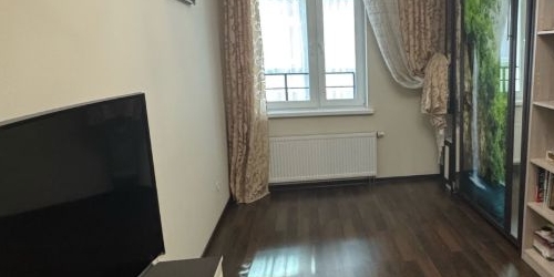 1-комн квартира Приморский проспект, 52К1