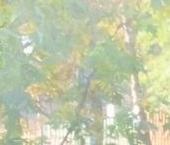 Сдать в аренду Квартиры вторичка Ясеневая улица, 10К2   