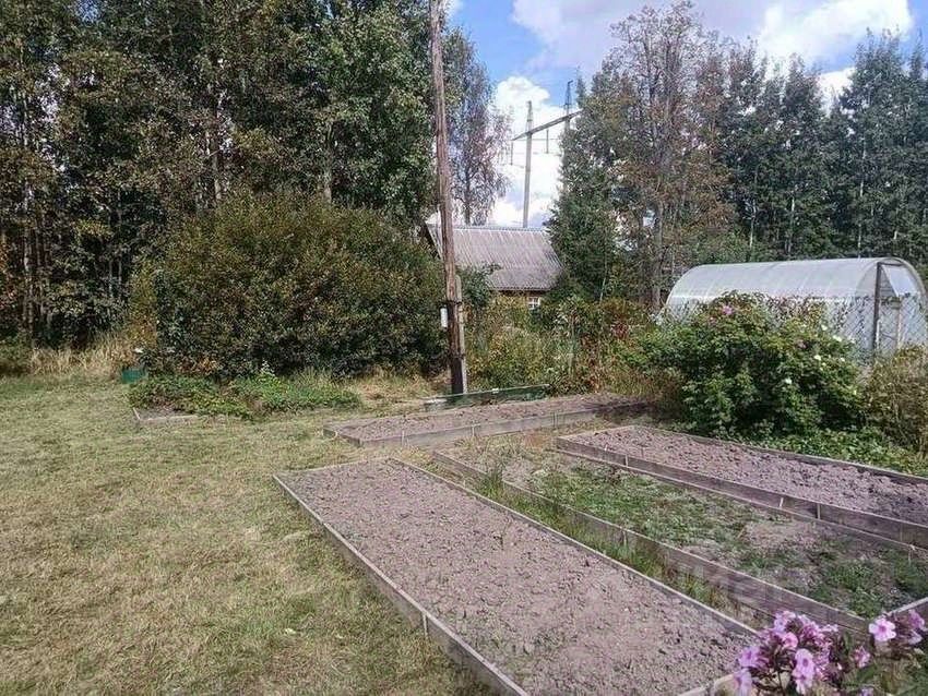 Продажа земли Новая Ропша садоводческий массив, Макаровец-1 СНТ, аллея 12-я Лесная,  д. 31А