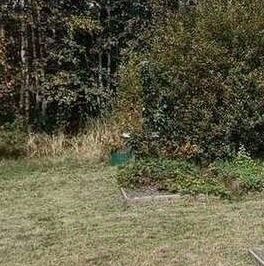 Продажа земли Новая Ропша садоводческий массив, Макаровец-1 СНТ, аллея 12-я Лесная,  д. 31А