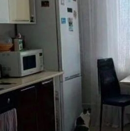 Аренда 1-комн квартиры на вторичном рынке Новые Островцы мкр, д. Островцы, улица Баулинская, 8