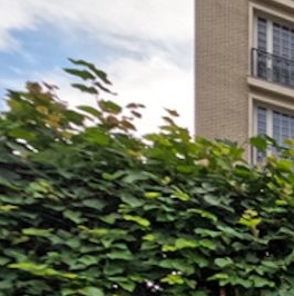 Продажа 4-комн квартиры на вторичном рынке улица Ефремова, 19к1