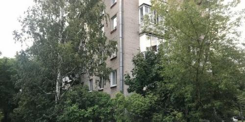 2-комн квартира Приморское шоссе,  д. 314