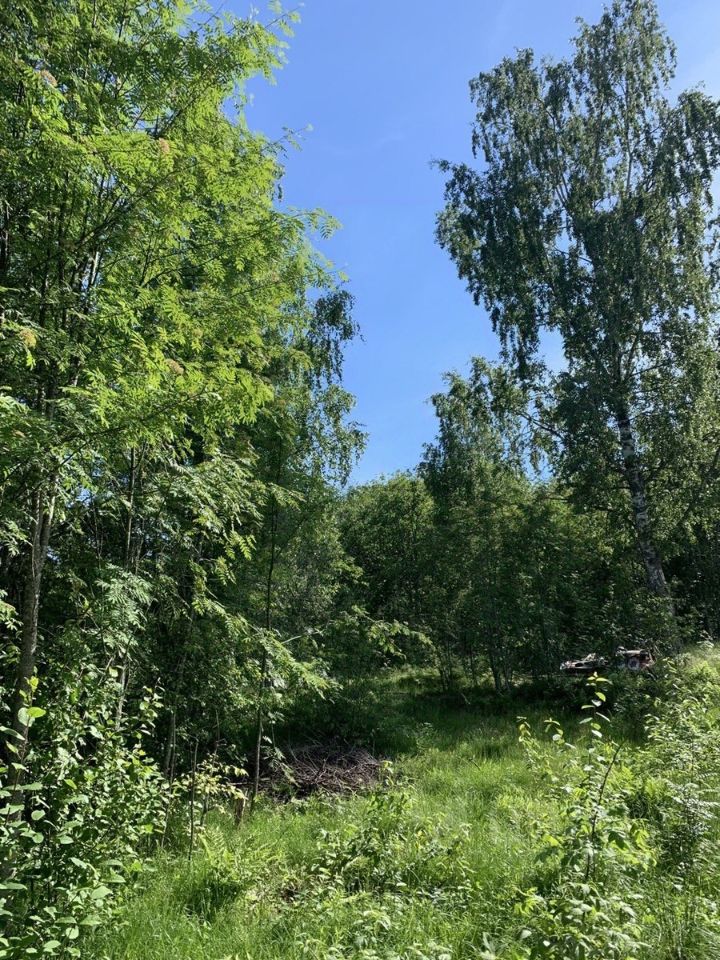 Продажа земли пос. Приладожское, улица Лесная