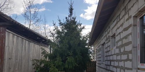 Коттедж/дом Средняя Колония дер.