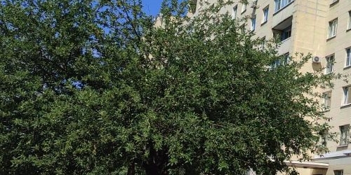 Комната улица Руставели, 37