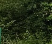 Продать Земельные участки, земля д. Сарженка, Сарженка-3 СНТ, 103   