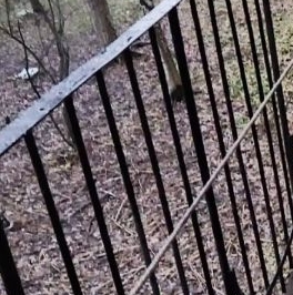 Аренда комнаты Гражданский проспект, 108К2