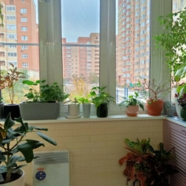 Продажа 1-комн квартиры на вторичном рынке Лесной Городок, ул Грибовская,  д. 6